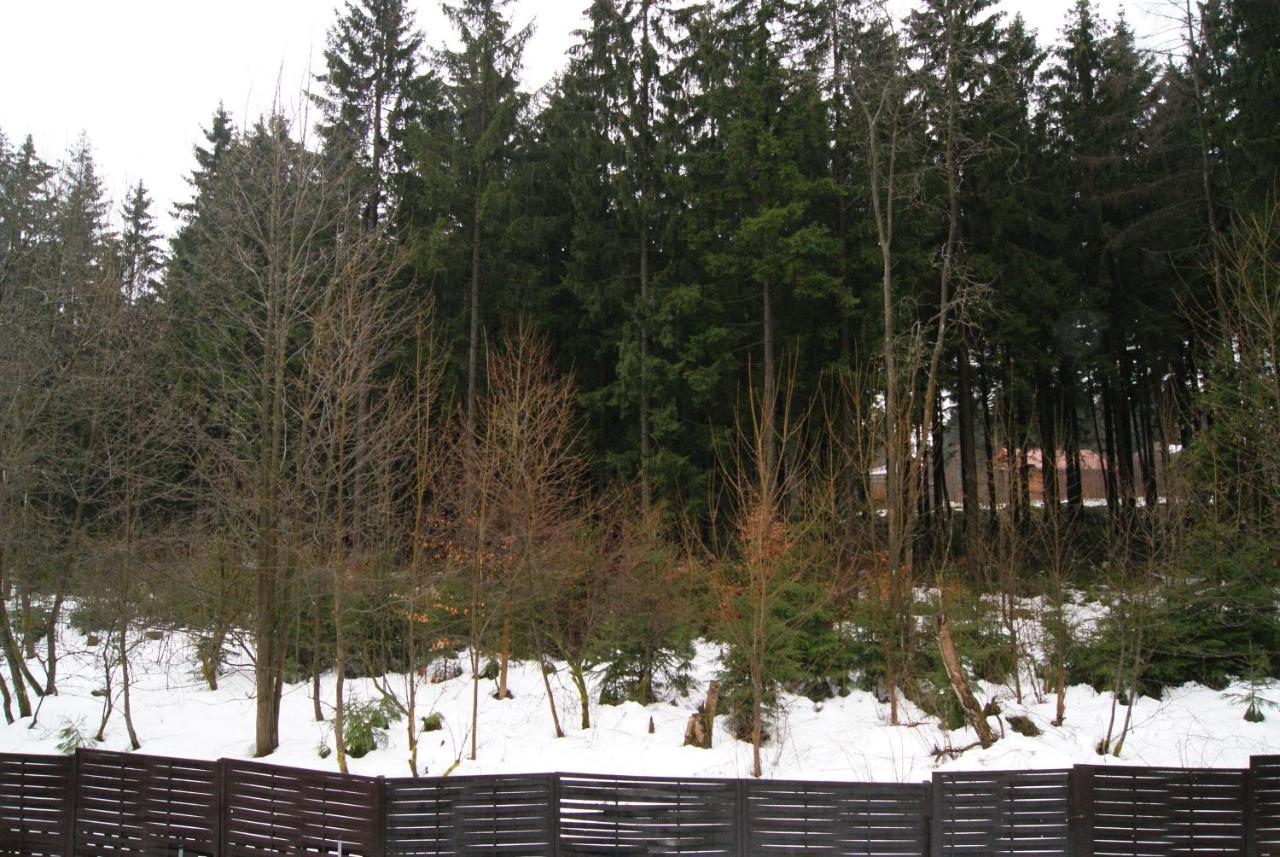Fewo Adler 2-6 Personen Braunlage Bagian luar foto
